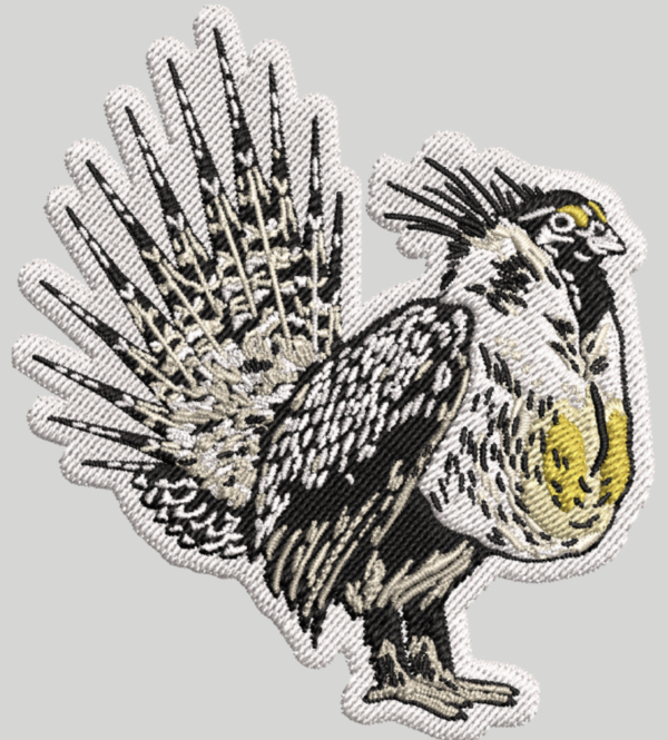 Patches - Image 5