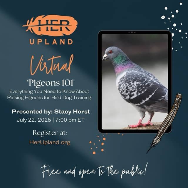 Virtual Event